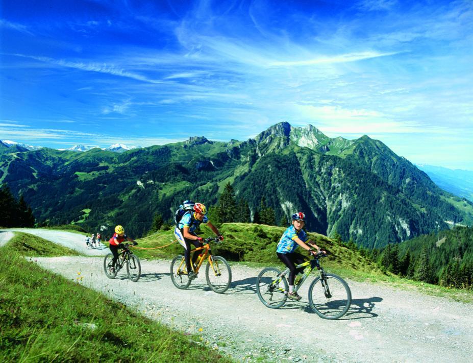 Pension Hochkoenigblick Sankt Johann im Pongau Bagian luar foto